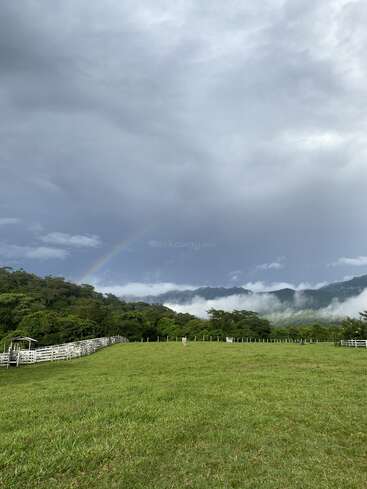 A lush green pasture stretches toward misty mountains, partially covered by low clouds. A faint rainbow arches across the sky, beneath dramatic gray clouds, creating a serene scene.