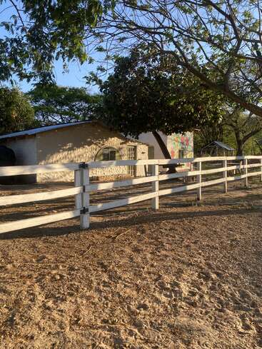 A rustic house with a mural, partially shaded by trees, sits behind a white wooden fence under the afternoon sun on a dirt-covered ground.