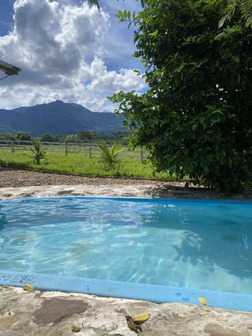 A peaceful scene showing a blue pool, lush green grass, tall leafy tree, distant white fence, mountains, and dramatic clouds beneath a vibrant blue sky.