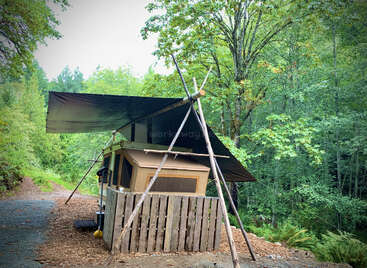 A small rustic cabin stands in a lush forest, covered by a large tarp supported by wooden poles, blending harmoniously with its natural green surroundings.