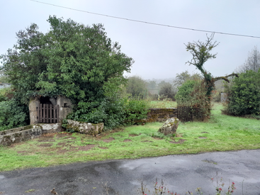 Scène rurale brumeuse avec une végétation luxuriante, de vieilles structures en pierre, un portail en bois, des rochers moussus, de l'herbe humide, des buissons envahis par la végétation et une route pavée au premier plan.