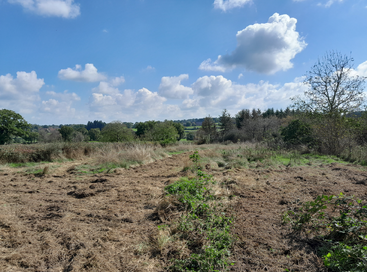 Une journée ensoleillée à la campagne, avec un champ herbeux, des buissons épars, des arbres verts, un ciel bleu rempli de nuages blancs et des collines lointaines.