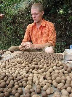 A imagem mostra um homem sentado em uma mesa, cercado por várias pequenas bolas de argila, com um fundo de arbustos e um recipiente de metal à sua direita.