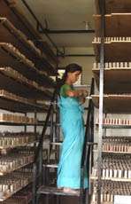 A imagem mostra uma mulher com um vestido azul em pé em uma escada em uma sala cheia de prateleiras com objetos pequenos e retangulares.