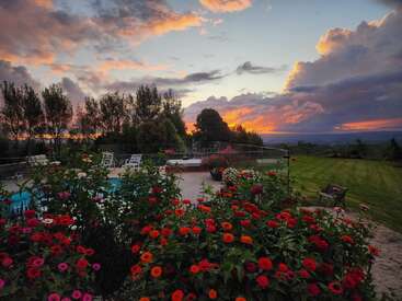 Um jardim vibrante repleto de flores vermelhas e rosa emoldura uma área de piscina serena ao pôr do sol, com nuvens e árvores dramáticas silhuetadas contra um céu brilhante.