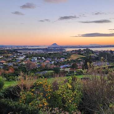 A colorful sunset sky overlooks a peaceful suburban neighborhood surrounded by lush greenery, distant water, blooming orange flowers, and a striking mountain on the horizon.