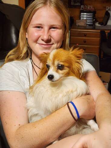 Uma jovem sorridente, com longos cabelos loiros, segura carinhosamente um pequeno e fofo cachorro marrom e branco nos braços, sentada confortavelmente em uma cadeira dentro de casa.