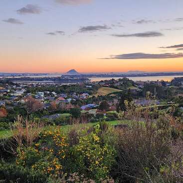 A colorful sunset sky overlooks a peaceful suburban neighborhood surrounded by lush greenery, distant water, blooming orange flowers, and a striking mountain on the horizon.