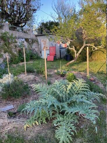 Ein üppiger Garten mit Blattpflanzen, Holzpfählen und einer Artischocke im Vordergrund. Im Hintergrund ein roter Stuhl, Bäume und bunte Fahnen.
