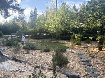 Un tranquilo jardín con senderos de virutas de madera y bordes de piedra, rodeado de una exuberante vegetación. Una persona vestida de blanco contempla las plantas, disfrutando del día soleado.