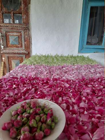 Une table couverte de pétales de roses roses et de sépales verts fraîchement cueillis, à côté d'un bol de boutons de roses, près d'une vieille porte et d'une fenêtre en bois.