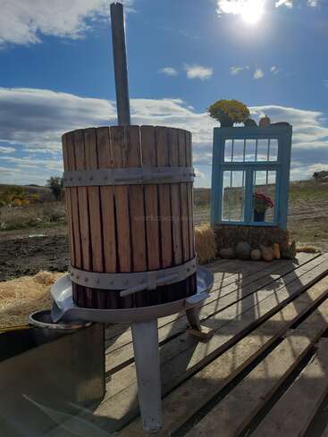 Un pressoir rustique est posé sur des planches de bois en plein air. À proximité, un cadre de fenêtre bleu vintage, des bottes de foin, des citrouilles et des fleurs créent une charmante scène champêtre.