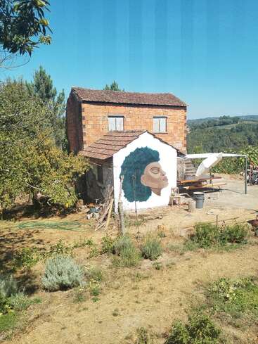 A rustic brick house with an unfinished mural of a woman's face on its exterior wall, surrounded by trees, plants, garden tools, and rural scenery.