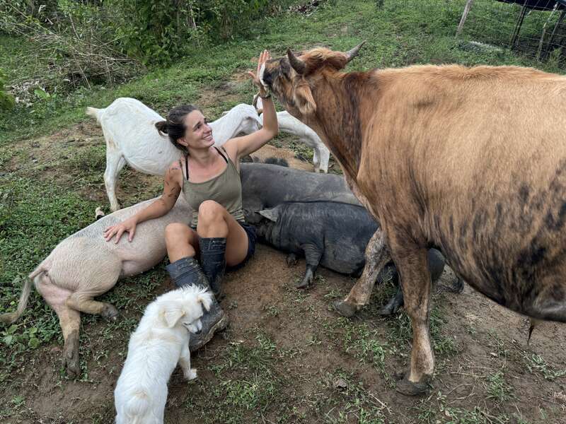 A woman sits on the ground surrounded by goats, pigs, and a dog, with her hand raised in a high-five gesture, in a grassy field.
