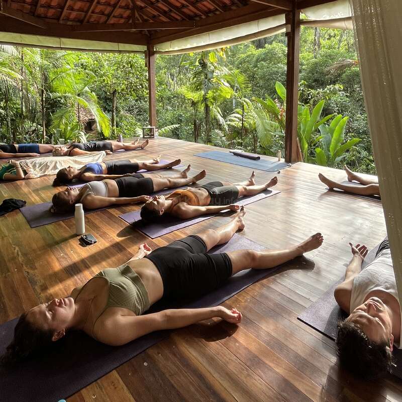 Un grupo de personas tumbadas en colchonetas de yoga en un sereno estudio de madera al aire libre rodeado de exuberante vegetación, practican relajación o meditación bajo una apacible luz natural.
