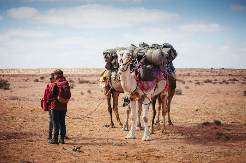 Help A Camel Trekking Family In The Outback Of South Australia
