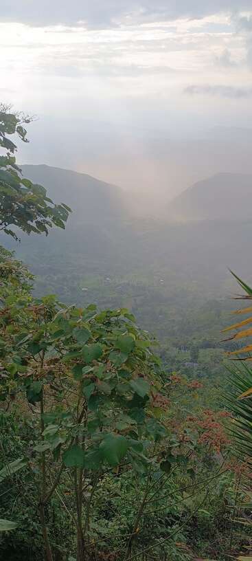 A lush, green valley stretches below misty, cloud-covered mountains. Sunlight pierces the haze, illuminating vibrant foliage in the foreground amid serene, tranquil landscape views.