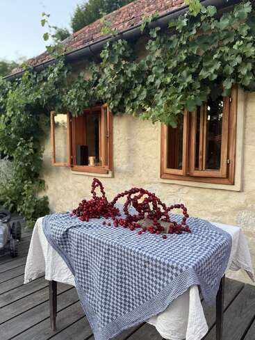 A rustic cottage with vine-covered walls, open windows, and a wooden table draped in cloths. Red berries are artfully arranged atop the table outdoors.