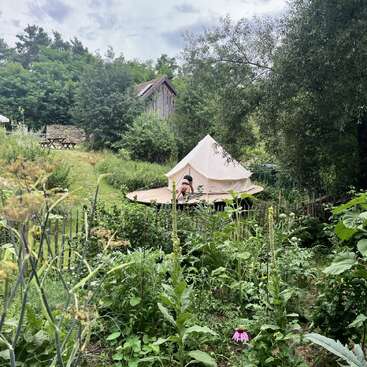 The image depicts a serene garden scene with a white tent, surrounded by lush greenery and a rustic wooden building in the background.