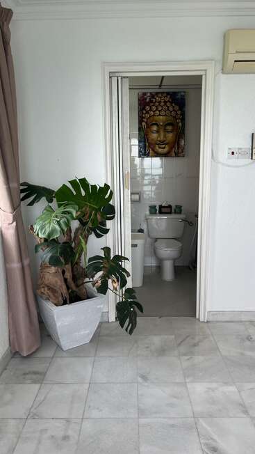 A serene bathroom with a Buddha painting above the toilet, large leafy plant in a white pot, marble floor, white walls, and soft light from the window.