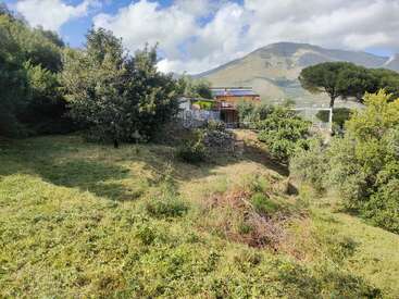 Um quintal gramado e ensolarado, com arbustos e árvores espalhados. Uma casa fica perto do topo de uma colina, com montanhas ao fundo, sob um céu azul parcialmente nublado.