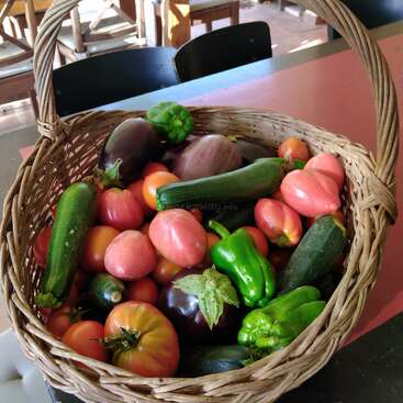 The image features a wicker basket overflowing with an assortment of fresh vegetables, including tomatoes, peppers, zucchini, and eggplants, placed on a table.