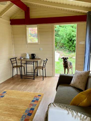 A cozy cabin interior with wooden walls, small dining table, and sofa. A dog stands outside the open door, green garden visible, creating a peaceful atmosphere.