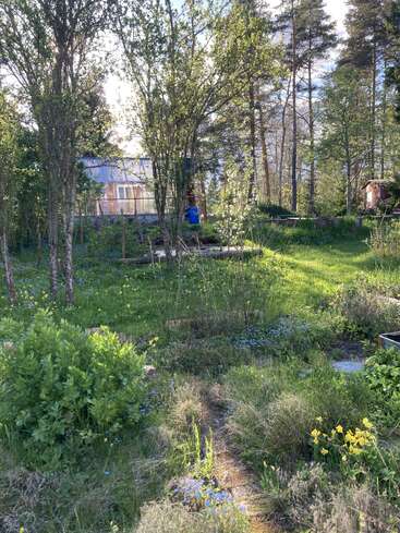Un jardin verdoyant parsemé de fleurs sauvages, d'arbres et de hautes herbes. Une serre et un abri sont visibles à l'arrière-plan, baignés par la lumière du soleil. Un cadre paisible.