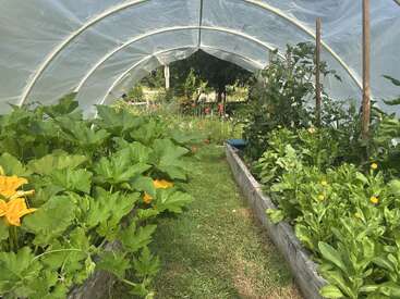 Inside a small greenhouse tunnel, raised garden beds overflow with lush green plants and yellow flowers. Outside, a wildflower garden blooms in the background.