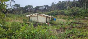 Uma estrutura pequena e improvisada, semelhante a uma tenda, fica em uma clareira verde e exuberante, cercada por vegetação selvagem, árvores e alguns suprimentos espalhados. A cena parece remota.