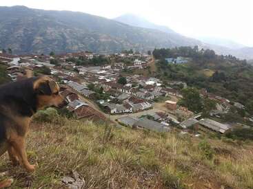 Um cachorro está em uma encosta gramada com vista para uma vila pitoresca de telhados de telha, cercada por montanhas verdes e árvores sob um céu nublado e enevoado.