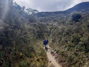 Uma pessoa está caminhando sozinha por uma trilha estreita de terra, cercada por uma vegetação verde e densa, rumo a montanhas envoltas em neblina, sob um céu nublado e dramático.