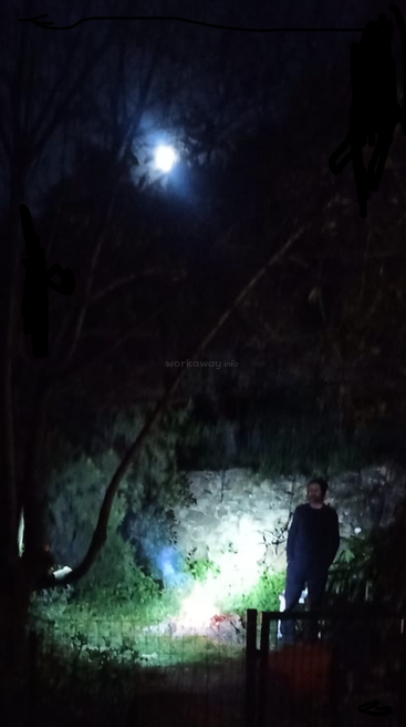 Un hombre está de pie al aire libre por la noche, iluminado por luz artificial. Detrás de él, los árboles, un muro de piedra y una luna brillante añaden un efecto inquietante y evocador.