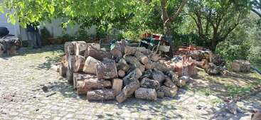 A pile of chopped firewood sits under green trees on a cobblestone patio. Garden chairs, bricks, and a large dog are visible in the background.
