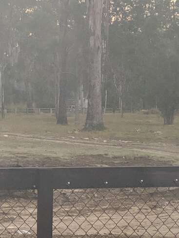 L'image représente une scène de parc sereine, avec une clôture à mailles losangées au premier plan et une zone herbeuse avec des arbres à l'arrière-plan, évoquant un sentiment de tranquillité.