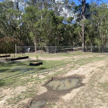 The image depicts a backyard with a metal fence, featuring a muddy puddle, a small tree in a raised bed, and a hose, surrounded by trees and a blue sky.
