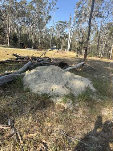 Un tas de sable est entouré d'herbe sèche et de branches d'arbres tombées dans une clairière, avec de grands arbres et des objets épars visibles à l'arrière-plan.