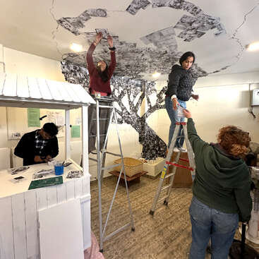 Vier Leute arbeiten zusammen an einem Wandbild drinnen und machen einen Baum aus Schwarz-Weiß-Fotos. Zwei stehen auf Leitern und kleben Papier an die Decke. Kreative Teamarbeit.