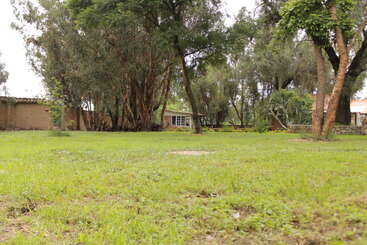 Ein ruhiger Garten mit sattgrünem Gras, hohen Bäumen und einem kleinen Haus im Hintergrund. Die Umgebung ist friedlich und einladend, umgeben von Natur.
