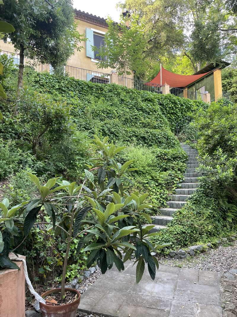 Ein üppig grüner Hanggarten mit Steinstufen führt hinauf zu einem Haus mit blauen Fensterläden. Ein roter Baldachin spendet Schatten auf der Terrasse. Im Vordergrund steht eine Topfpflanze.