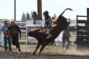 A rodeo scene shows a rider holding onto a bucking bull, while several people watch nearby. The bull kicks high, and dirt flies dramatically.