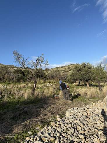 A person in a blue hoodie works in a grassy, rocky landscape surrounded by scattered trees under a bright blue sky with scattered clouds. Peaceful scene.