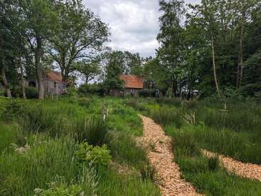Ein rustikaler Weg schlängelt sich durch hohes, grünes Gras und Bäume und führt zu einem malerischen Haus mit rotem Dach, unter einem teilweise bewölkten Himmel. Friedliche Landschaft.