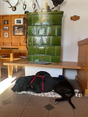 Ein großer schwarzer Hund mit einem roten Geschirr liegt auf einer Decke neben einem grünen Kachelofen in einem gemütlichen, rustikalen Raum mit Holzvertäfelung.