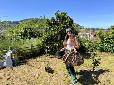 Uma mulher em um jardim ensolarado, segurando uma grande cesta de vime e um pequeno vaso de plantas, cercada por vegetação, árvores e materiais de jardinagem. Céu azul acima.