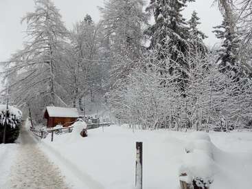 A quiet, snowy landscape with a wooden cabin, snow-covered trees, and a pathway winding through deep white snow, creating a peaceful, winter wonderland scene.