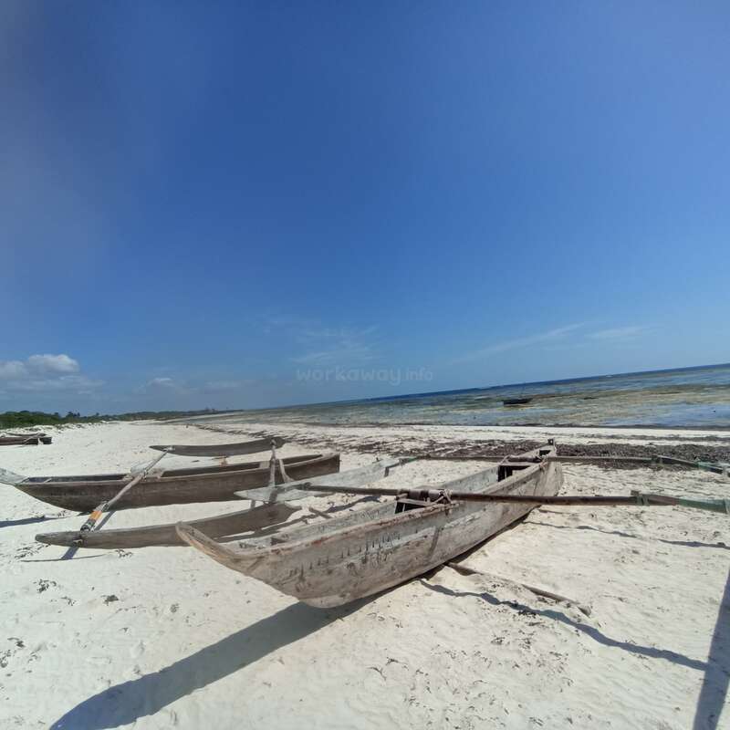 The image depicts a serene beach scene with three wooden boats on the sand, set against a backdrop of a clear blue sky and calm ocean waters.