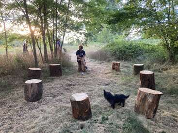 A person sits on a tree stump surrounded by more stumps arranged in a circle. Trees, grass, and a black dog complete the peaceful outdoor scene.