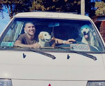 Un homme et deux chiens heureux sont assis à l'intérieur d'une camionnette blanche. Tous trois semblent joyeux, profitant de leur temps ensemble, alors que la lumière du soleil traverse le pare-brise.