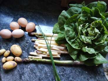 L'image représente un comptoir de cuisine avec un assortiment de légumes frais et d'œufs, dont de la laitue, des asperges, des pommes de terre et des œufs, disposés sur une surface gris foncé.